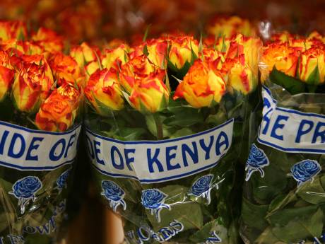 Kenia laat extra vluchten toe voor vervoer bloemen Valentijnsdag