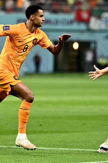 FIFA nomineert Cody Gakpo voor ‘mooiste WK-goal’, Oranje-aanvaller heeft flinke concurrentie