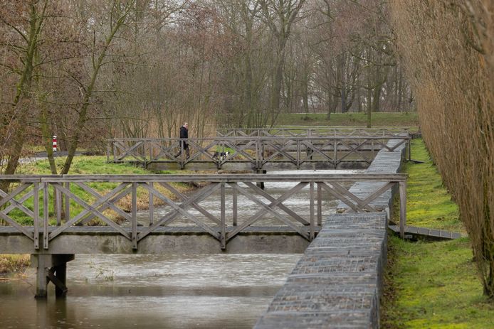 Drie houten bruggen in het park aan de Concordialaan in Den Bosch worden gesloopt.