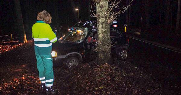 Man gewond door botsing tegen boom in Laag-Soeren
