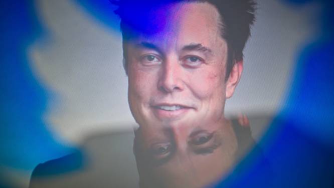Musk: ‘Twittergebruikers moeten 8 euro per maand betalen voor blauw vinkje’