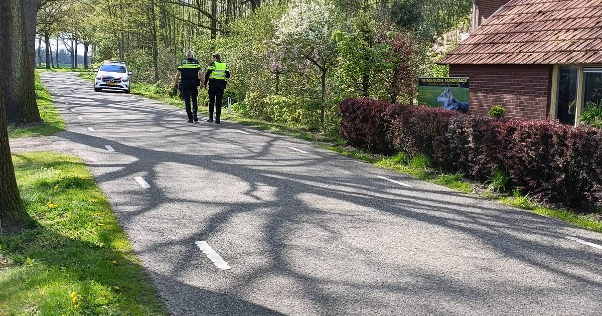 Hond overleden bij aanrijding met motor in Neede.