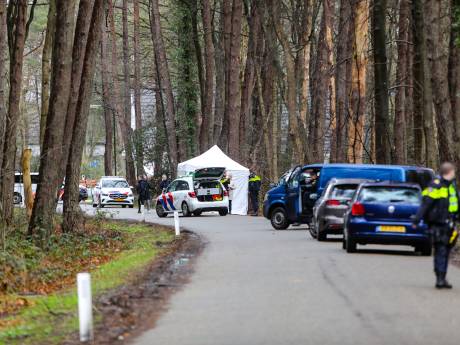 Wie was Sylvia (45) uit Apeldoorn en hoe kwam ze om het leven? Dit is wat we tot nu toe weten