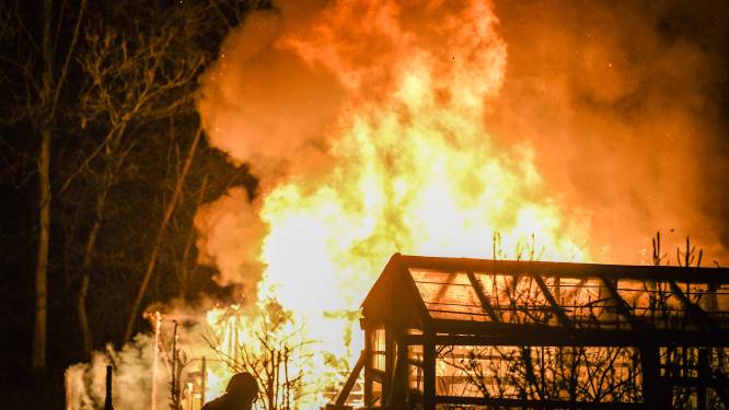 Metershoge vlammen bij brand volkstuinvereniging in Alphen
