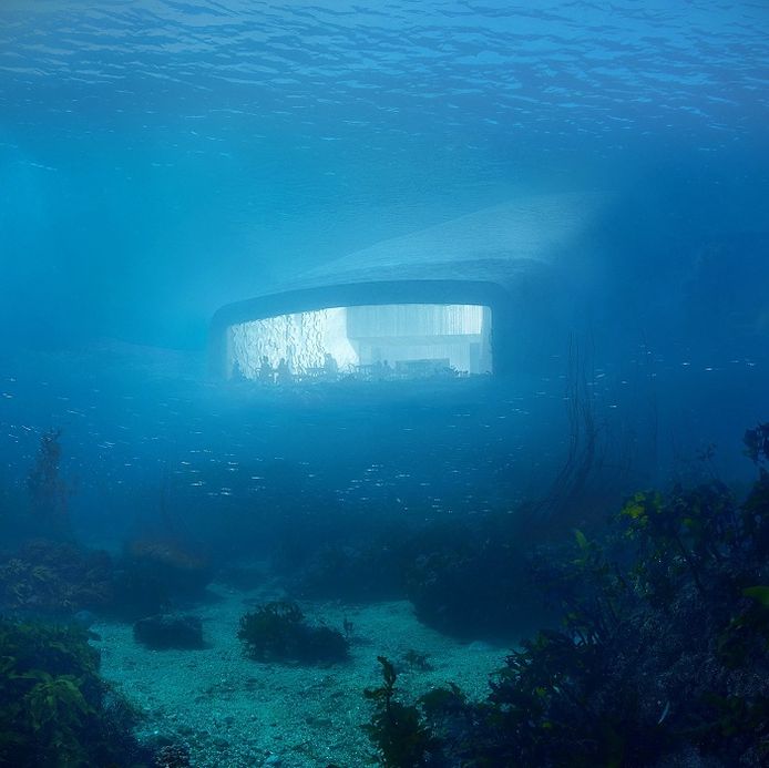 Vanuit het water gezien doet het restaurant volgens de architecten denken aan een gezonken periscoop.