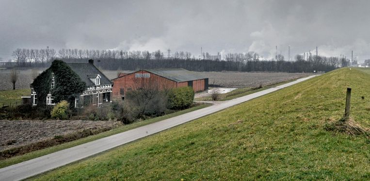 Terneuzen met op de achtergrond de fabriek van Dow Chemical. Beeld Raymond Rutting / de Volkskrant   