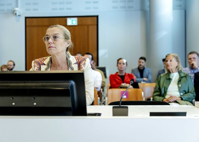 Sigrid Kaag, dinsdag in de rechtbank. Beeld Robin van Lonkhuijsen/ANP