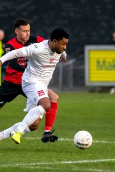 Zorgen voor IJsselmeervogels: ‘Intensiteit is het toverwoord. Geen 10 minuten, maar 90 minuten lang’ 