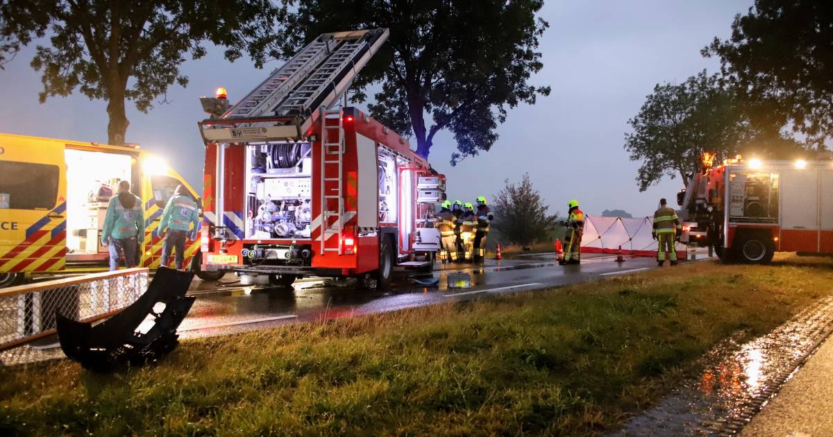 Automobilist overlijdt bij botsing tegen boom op provinciale weg in de Betuwe.