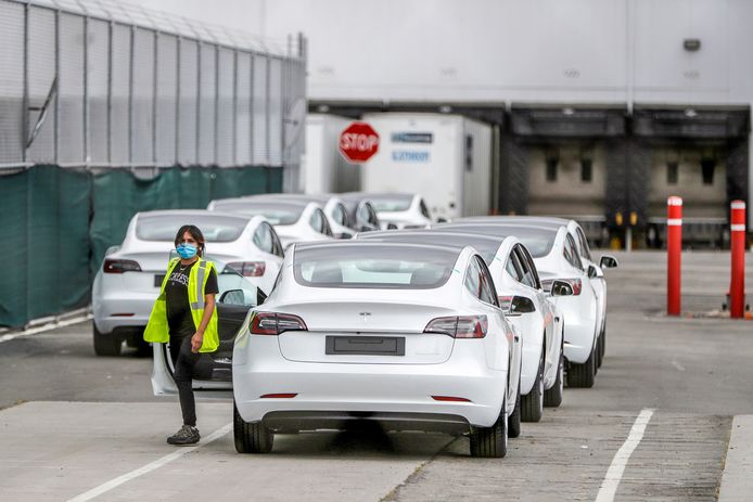 De lagere Tesla Model 3 was - mede dankzij overheidssubsidie - een enorme hit in Nederland.