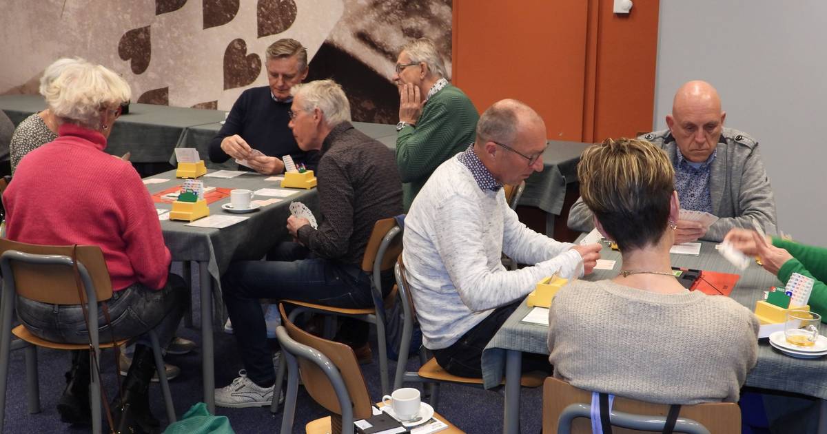 Vrijwilligers van Under the milky way