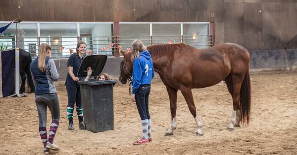 Genieten op ponykamp in Soerendonk