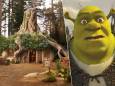 "Er is alleen geen toilet voorzien": deze gloednieuwe Airbnb is volledig in het thema van 'Shrek’