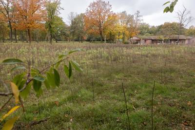 Geen woningen? Dan maar ‘massa is kassa’-vakantiehuisjes op voormalige camping Fortduinen