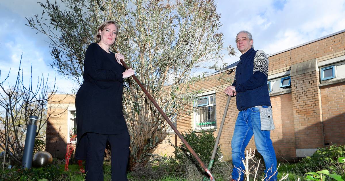 Yulius-cliënten en bewoners starten buurtmoestuin: ‘Dan gaat het even niet over ziektes en medicijnen’
