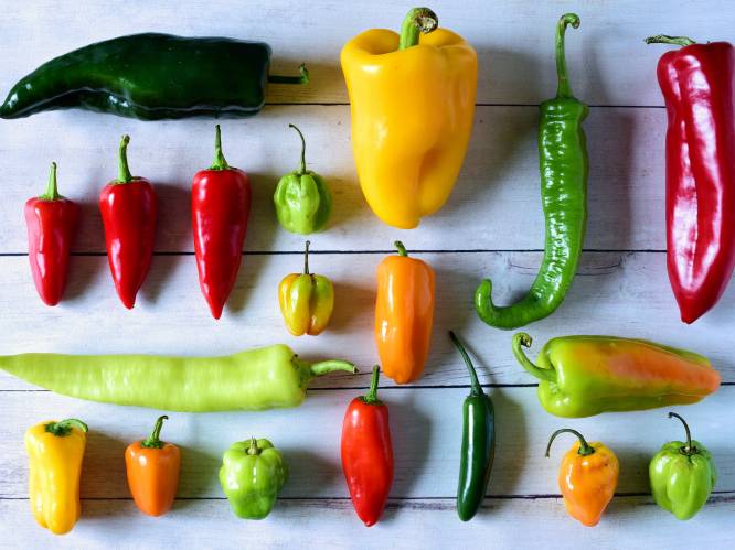 Dit zijn de heetste pepers om mee te koken én zo gebruik je ze in een gerecht: “Bij deze lijkt het alsof je pepperspray eet”