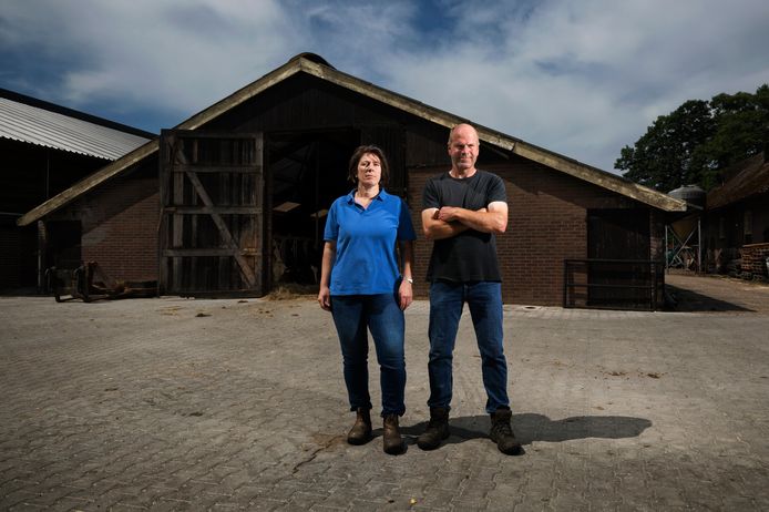Annette en Erik Jansen hebben samen een boerenbedrijf. Met de 100 koeien verdienen ze ‘een goeie boterham’.
