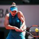 Wint 'lelijke eendje' Halep morgen grandslamfinale tegen Stephens?