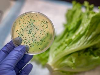 Tientallen mensen in VK opgenomen in ziekenhuis na E. coli-uitbraak
