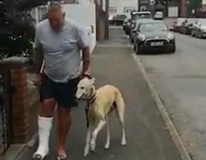 Baasje breekt enkel en belandt in gips, hond mankt mee om hem hart onder de riem te steken Het