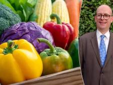 “Les légumes sont plus sains que les fruits”, “les carottes sont bonnes pour la vue”: 6 idées reçues sur les légumes décryptées