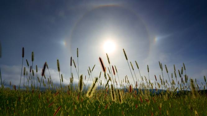 Waarom is er soms een kring om de zon? En voorspelt die echt ‘water in de ton’?
