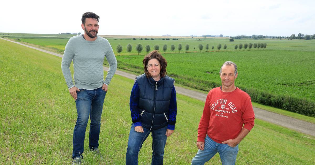 Advocaat bewoners Perkpolder ‘Hulst en Rijkswaterstaat houden