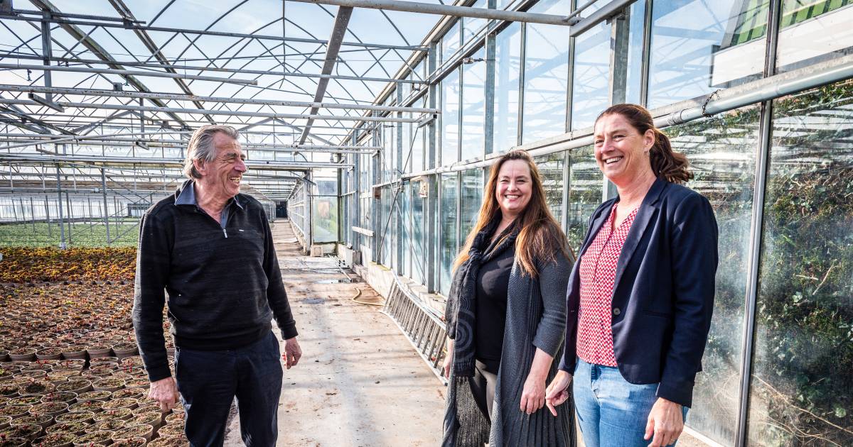 Dorp stroopt mouwen op om eigen jeugd aan een huis te helpen: ‘We doen dit met elkaar voor elkaar’