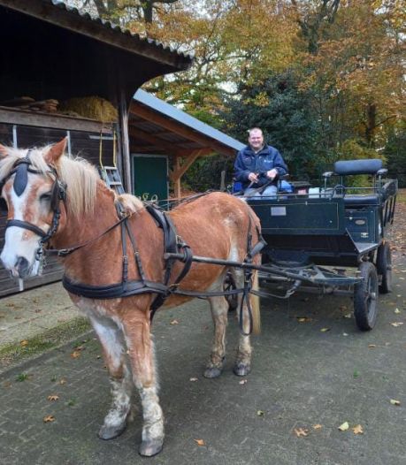 Tranen in Stadsboerderij Beeklust: Paard Karel (29) is gestorven 