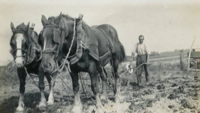 Zonder pardon werden duizenden eilanders in de winter van ’44 door de Duitsers hun huis uitgejaagd
