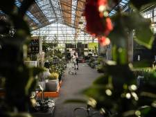 Winkeliers Wijk en Aalburg vrezen komst tuincentrum: ‘Geef geen vergunning’
