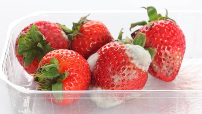 Als één stuk fruit beschimmeld is, moet je dan het hele doosje weggooien?