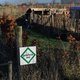 Europees Hof vindt subtiele gentech gewoon manipulatie: gemiste kans, zeggen plantkundigen