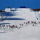 Sneeuw, intriges en Vladimir Poetin: welkom op de Winterspelen van grote leider Xi Jinping