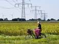 Elektriciteitsmasten in de Hoeksche Waard in Zuid-Holland. infrastructuur hoogspanningsnetwerk