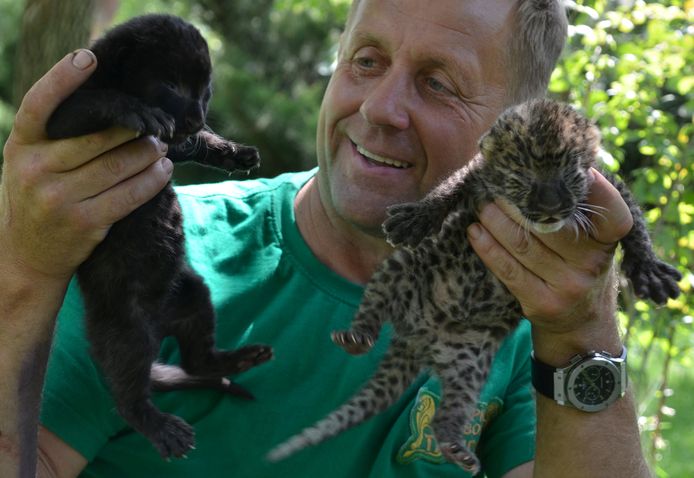 Taigan Safari Park-directeur Oleg Zubkov.