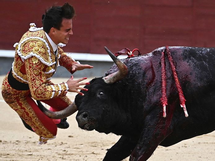 Het is al de tweede maal dat een stier Gonzalo Caballero zwaar te grazen neemt.