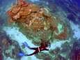 Australië pompt half miljard in herstel Great Barrier Reef