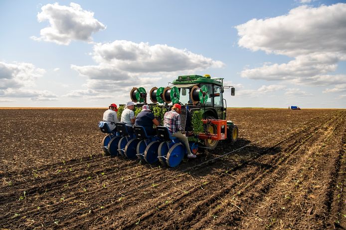 Oekraïne heeft veel potentie op het gebied van landbouw, zegt een Nederlander die er woonde, maar er is veel bureaucratie en corruptie.