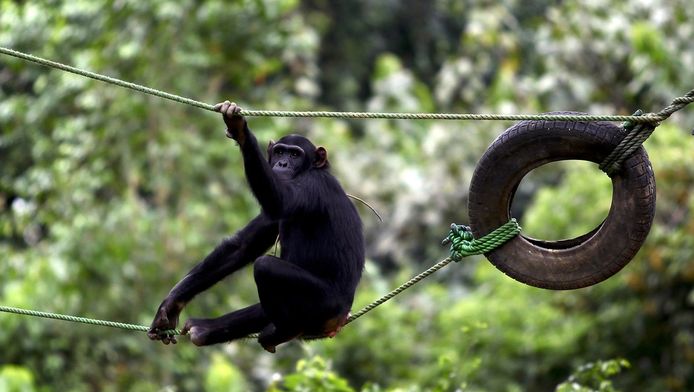 reuters