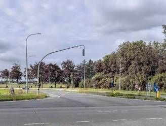 Twee wagens perte totale na kop-staartaanrijding op N49: bestuurder overgebracht naar ziekenhuis