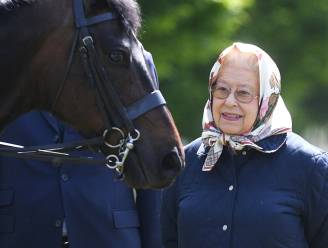 Queen Elizabeth zoekt een paardenverzorger (en die kan 25.000 euro per jaar verdienen)