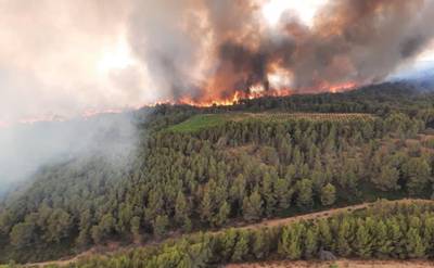 Incendie de forêt dans l'Aude: 200 hectares détruits et 170 personnes évacuées