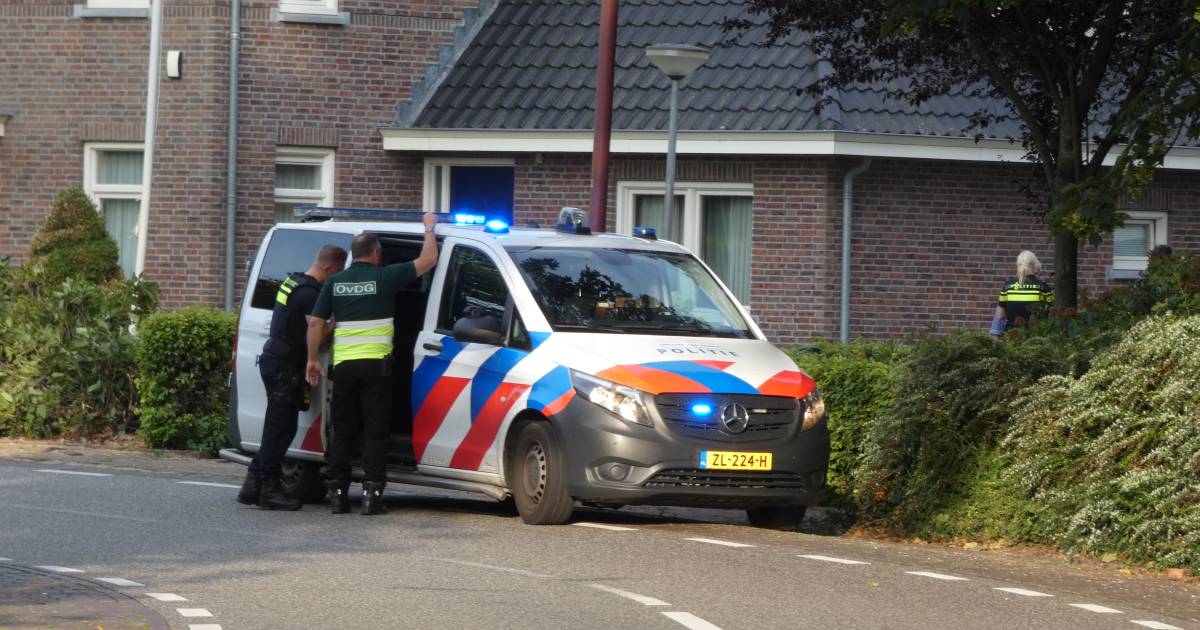 Verkeersruzie in Lith loopt volledig uit de hand: vrouw (38) overlijdt na honderden meters op motork