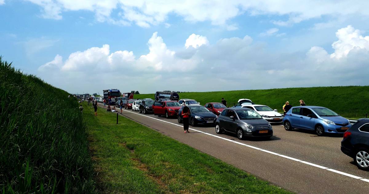 Lange file door ongeval in Westerscheldetunnel.