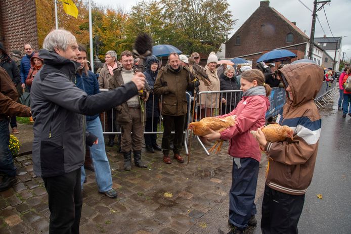 Kletsnatte dierenwijding in Mendonk houdt tradities in ere | Gent | hln.be