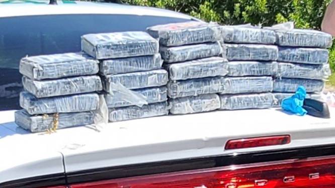 Bioloog vindt voor 1 miljoen euro aan coke op strand tijdens schildpaddenonderzoek