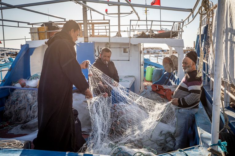 Vissers in de haven van Zarzis. Sinds 2018 zijn zij medeplichtig aan mensensmokkel wanneer ze drenkelingen redden op zee. Beeld Sven Torfinn / de Volkskrant