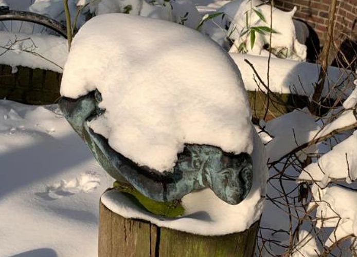 De bronzen zeemeermin in de Osse voortuin van kunstenaar Heleen van der Sanden is gestolen.