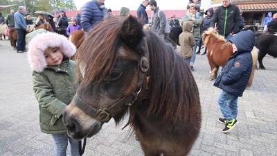 Daar gaan ze dan: de laatste pony's van Attractiepark Slagharen